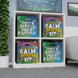 Foldable Storage Box