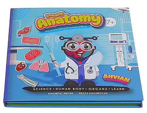 Anatomy Magnetic Book 🧬🧲📘Bilingual (40pcs)