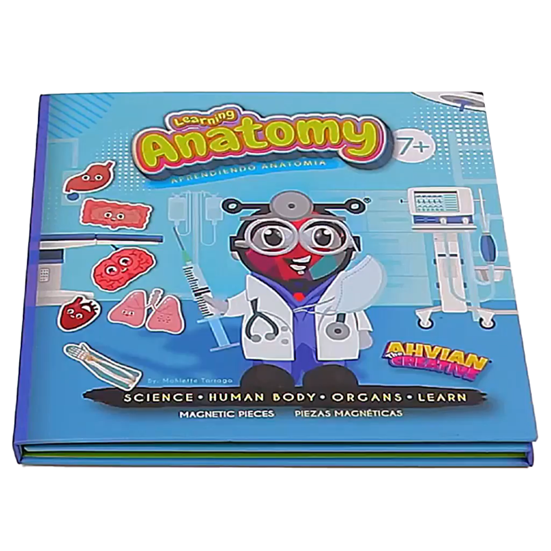 Anatomy Magnetic Book 🧬🧲📘Bilingual (40pcs)