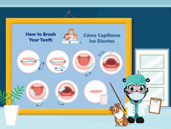 DENTIST