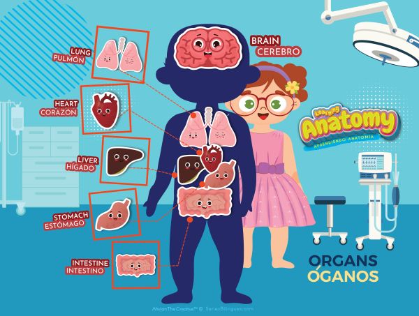ORGANOS